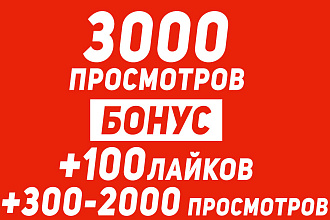 3000 живых просмотров +100 лайков и от 300 до 2000 просмотров бонусом