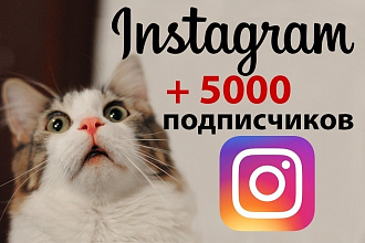 5000 подписчиков на Ваш Инстаграм