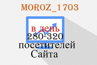 280 - 320 уникальных посетителей на сайт каждый день в течение месяца