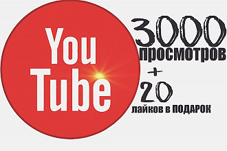 +3000 Просмотров в YouTube