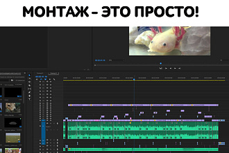 Качественный видеомонтаж любой сложности