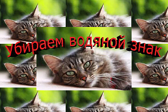 Уберу водяной знак