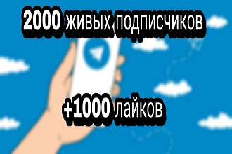 2000 живых подписчиков + 1000 лайков в Telegram