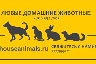 Сделаю визитки в 10 вариантах