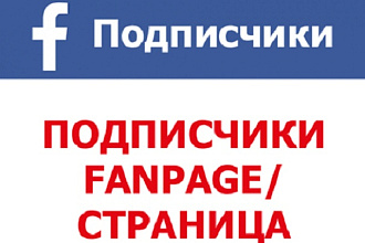 1111 подписчиков на fanpage-страницу в Facebook