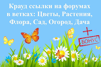 15 крауд-ссылок на форумах в ветках цветы, растения, сад, огород, дача