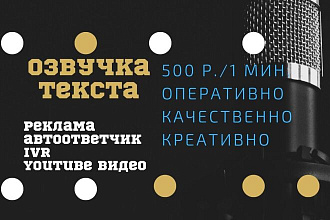 Озвучка Вашего проекта