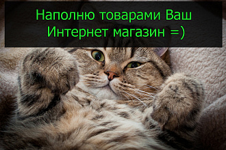 Наполню вручную ваш интернет магазин товарами