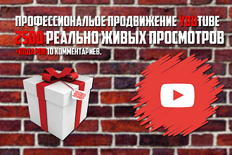 Профессиональное продвижение YouTube