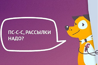 Настрою и отправлю email рассылку