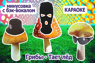 Найду или создам любую минусовку к вашей композиции