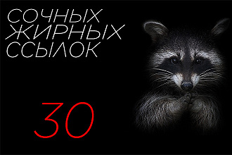 30 ссылок, рост по запросам в ПС пакет 1