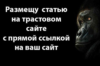 Напишу и Размещу статью на сайте klopp.RU с прямой ссылкой