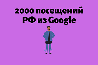 Трафик на сайт - 2000 человек