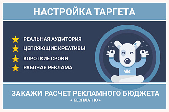 Таргетированная реклама Вконтакте. Настройка и ведение