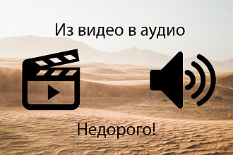 Из видео в аудио
