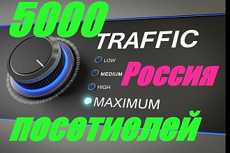 Живой Трафик на сайт. Россия. Из Google Yanbex VK YouTube Reddit