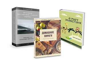 Обложка книги, курса в 3D