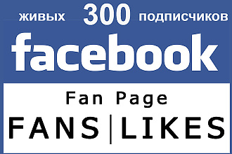 300 подписчиков в паблике на Фейсбук Facebook