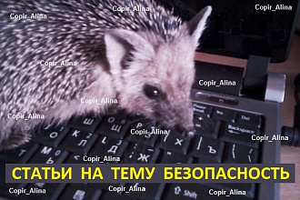 Тексты для сайтов по безопасности