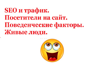 SEO и трафик. Посетители на сайт. Поведенческие факторы. Живые люди