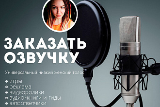 Заказать озвучку текста