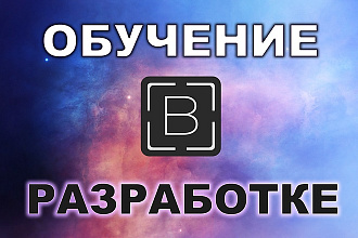 Научу писать прибыльные софты на BAS, бесплатный аналог Zennoposter