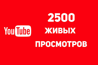 2500 просмотров на любой видеоролик в ютубе