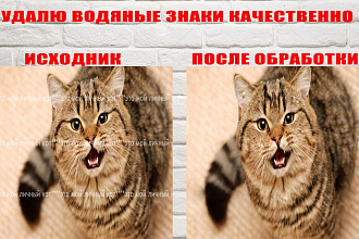 Уберу водяные знаки. Ручная детальная качественная работа