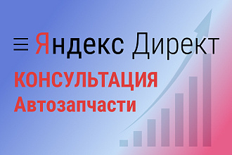 Консультация по рекламе Автозапчастей в Директе