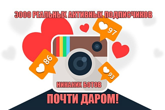 3000 живых подписчиков instagram почти даром