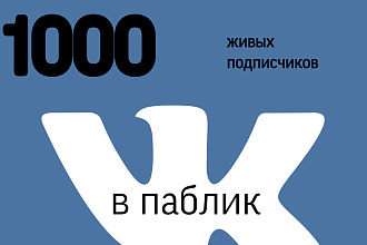 1000 подписчиков в паблик ВКонтакте