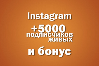 Добавлю 5000 новых подписчиков в Instagram + Бонус