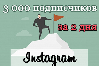 3000 подписчиков + гарантия