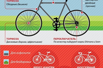Сделаю инфографику