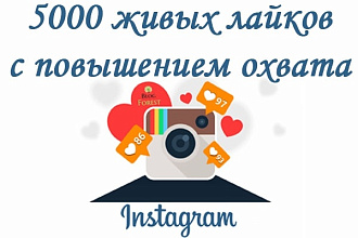 5000 живых лайков с повышением охвата в Instagram