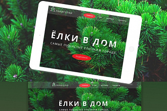 Разработка ВЕБ-дизайна