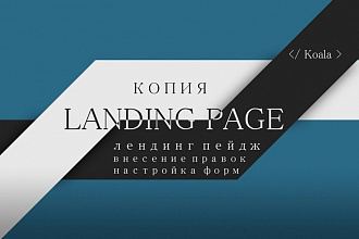 Скопирую Landing Page - лендинг пейдж - одностраничный сайт