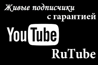 Привлеку 300 подписчиков на Ваш канал Youtube или RuTube и просмотры
