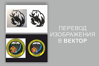 Переведу в вектор изображение любой сложности. Качественно