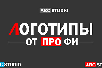 Профессиональные и качественные логотипы, в 3 вариациях