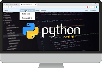 Напишу скрипт или доработаю на Python