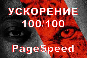 Ускорение WordPress по Google PageSpeed Insights. Разгон WordPress