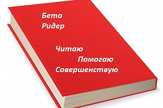 Бета - ридер . beta reader