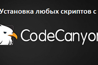 Установлю любой скрипт с CodeCanyon или аналогичных сайтов