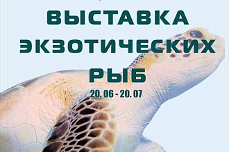 Дизайн листовки, афиша, визитки