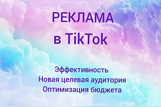 Запуск таргетированной рекламы в TikTok для вашего бизнеса