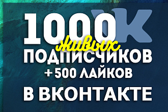 Добавлю в вашу группу 1000 качественных подписчиков