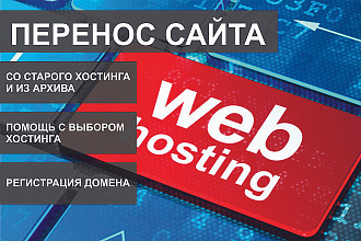 Качественный перенос сайта. + Гарантия