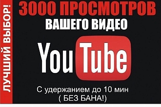3000 просмотров с удержанием